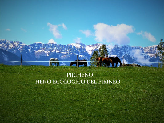 Por qué elegir heno de la marca PIRIHENO. - Piriheno