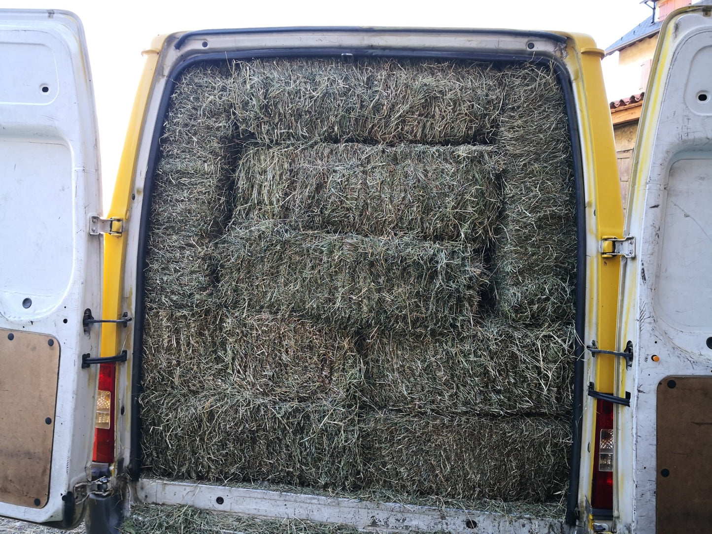 Alpaca pequeña 18/20kg. Furgoneta 60 alpacas transporte incluido. - Piriheno