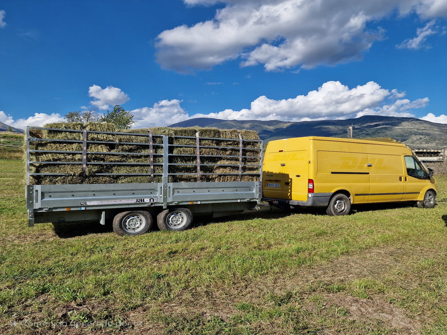 Alpaca pequeña 18/20kg. Furgoneta con remolque 140 alpacas transporte incluido. - Piriheno