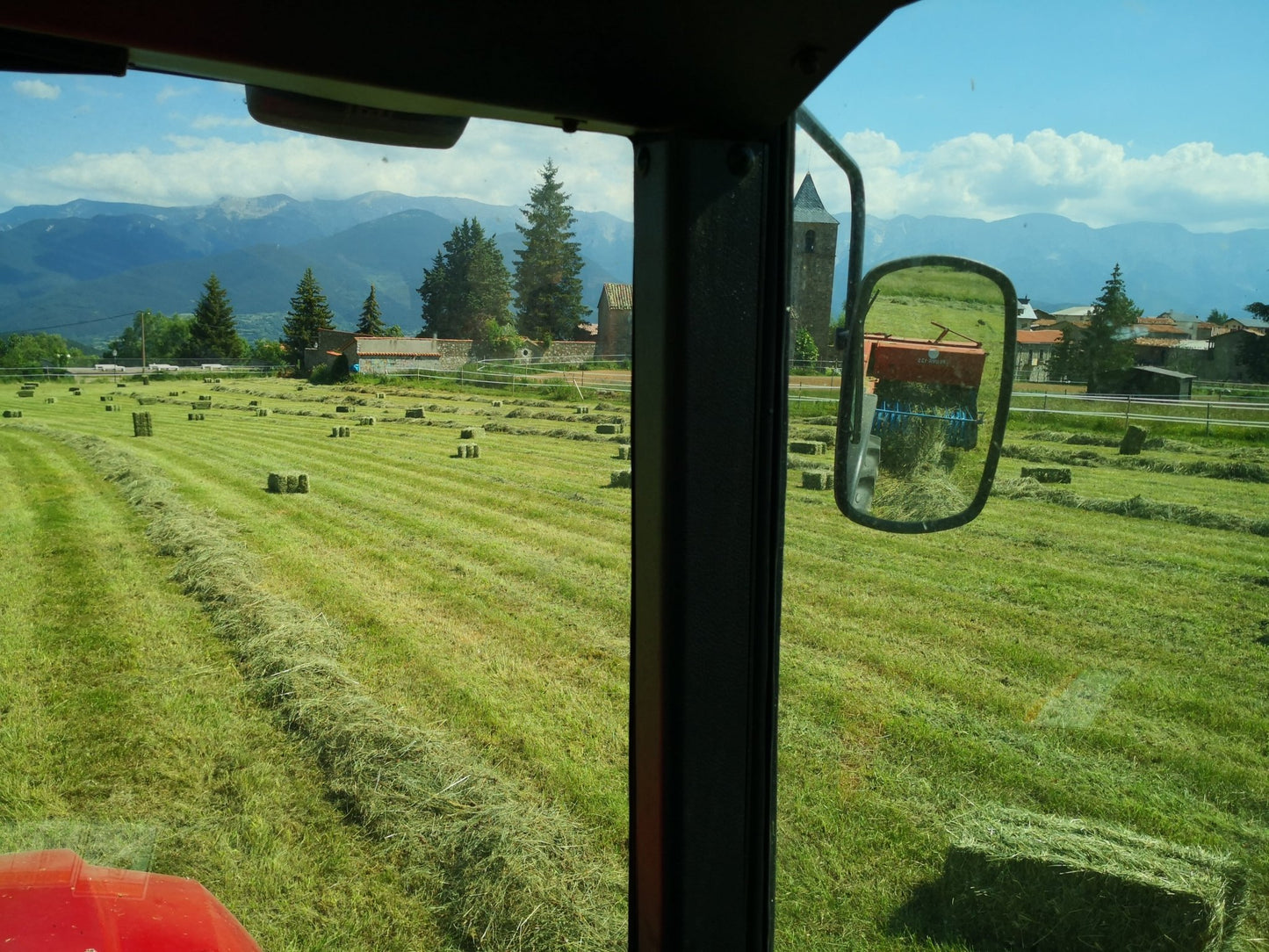 Alpaca pequeña 18/20kg. Remolque 80 alpacas transporte incluido. - Piriheno