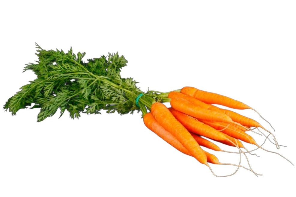 Pack tiendas mascotas 5 kg. heno de Praderas del Pirineo con zanahoria. 10 bolsas de 1/2 kg. B2B.