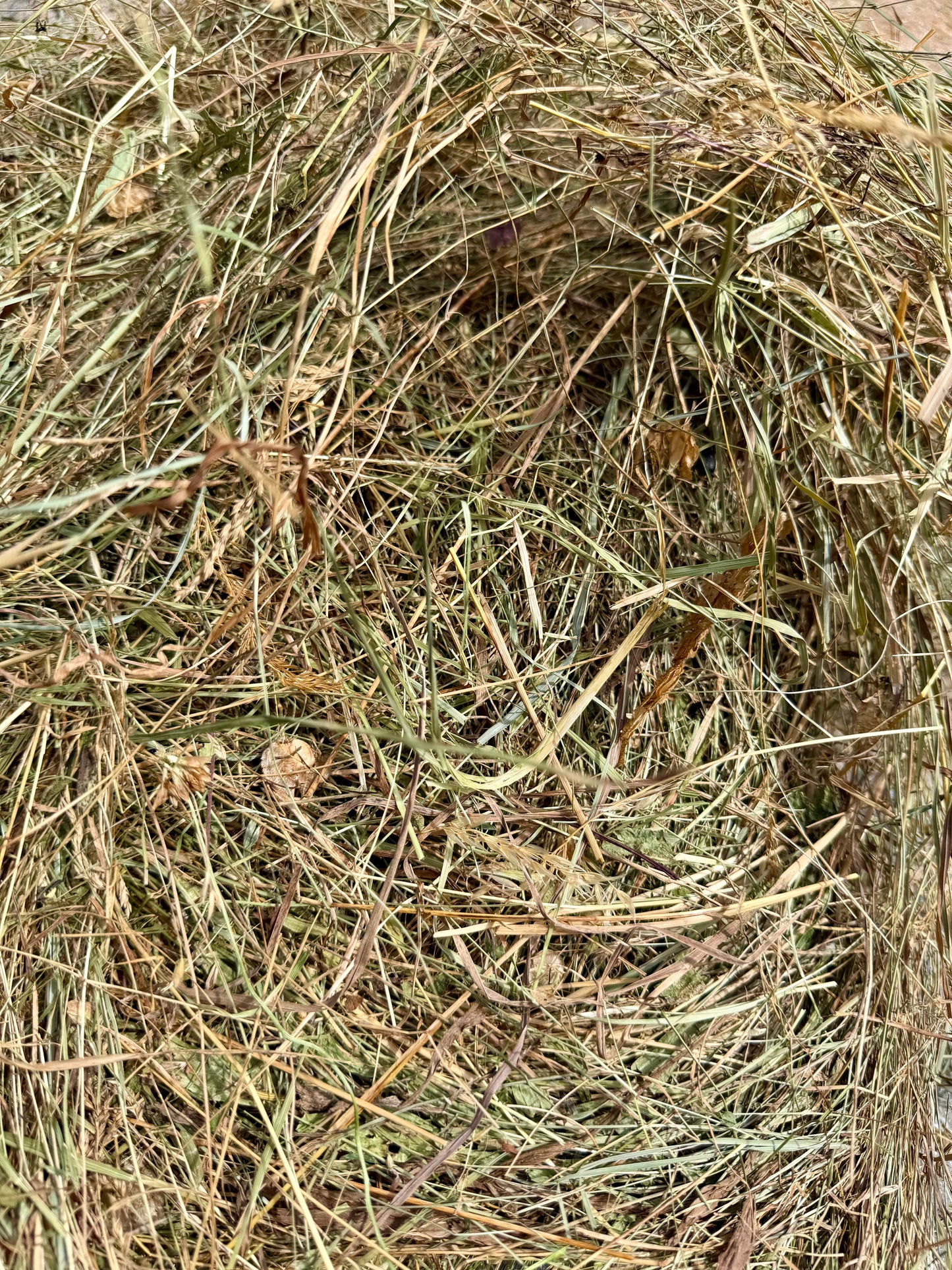 Heno natural de pradera de secano. Transporte incluido.