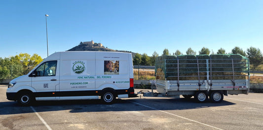Alpaca pequeña 18/20kg. Furgoneta con remolque 140 alpacas transporte incluido.