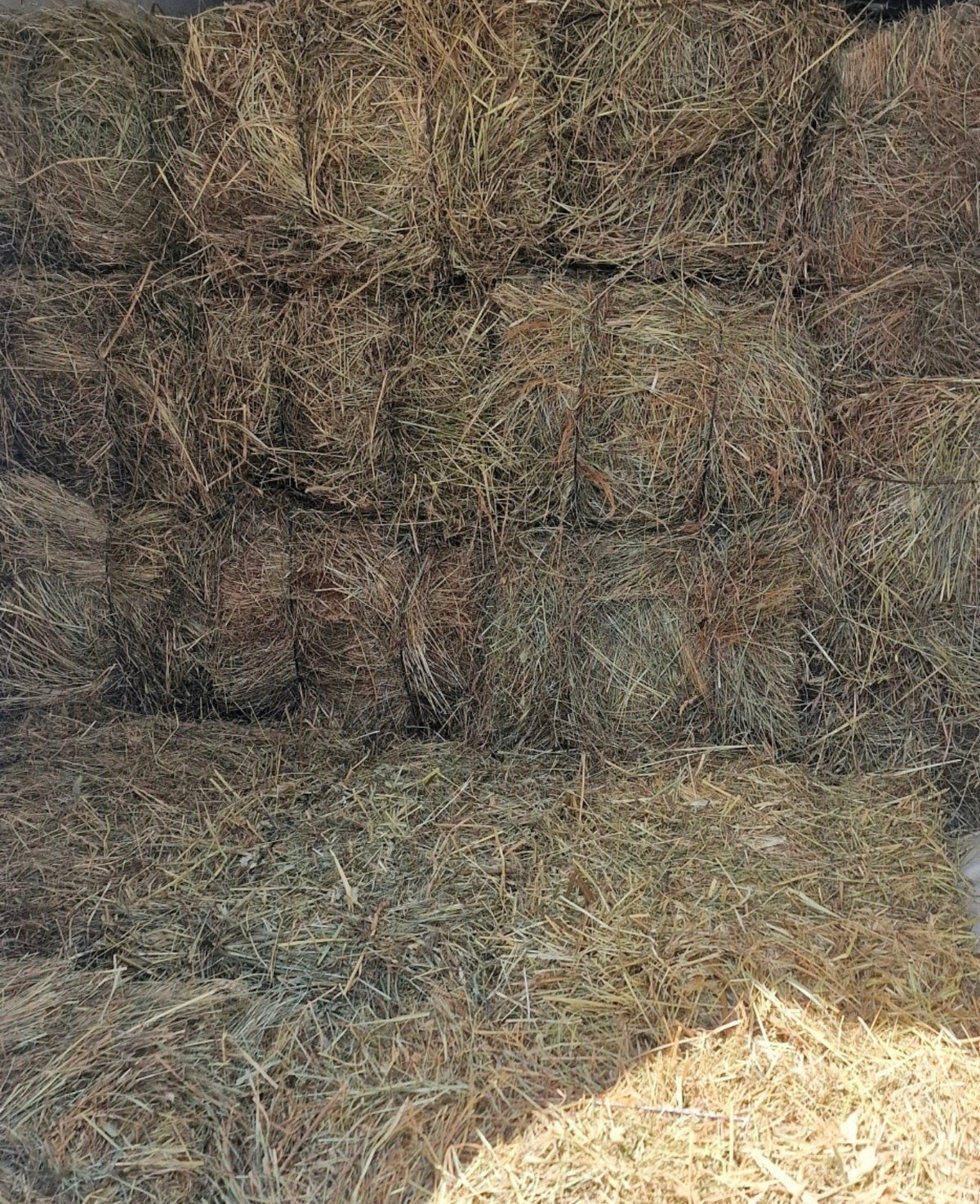 Heno natural de pradera de secano, balas apiladas