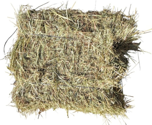 mini alpaca 10kg. heno natural de praderas del Pirineo. ENVÍO INCLUIDO.